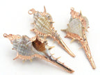 Eye catching rose Gold color edged natural Murex spiky trumpet shell pendant - 1 piece - SP029