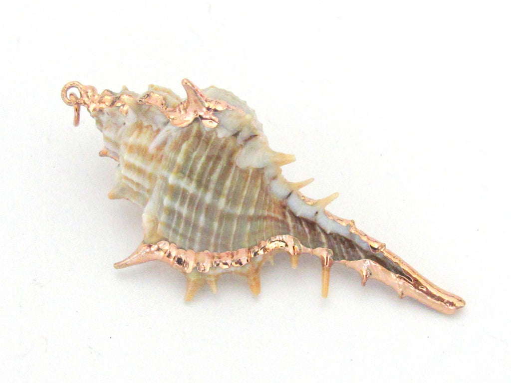 Eye catching rose Gold color edged natural Murex spiky trumpet shell pendant - 1 piece - SP029