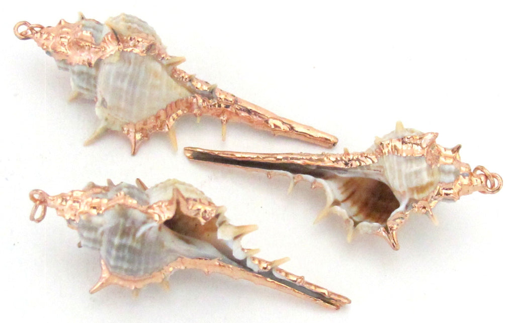 Eye catching rose Gold color edged natural Murex spiky trumpet shell pendant - 1 piece - SP029