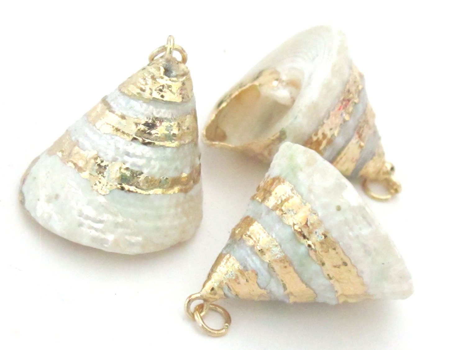 Gorgeous conical pearl Troca shell gold edged pendant - 1 piece - SP031A