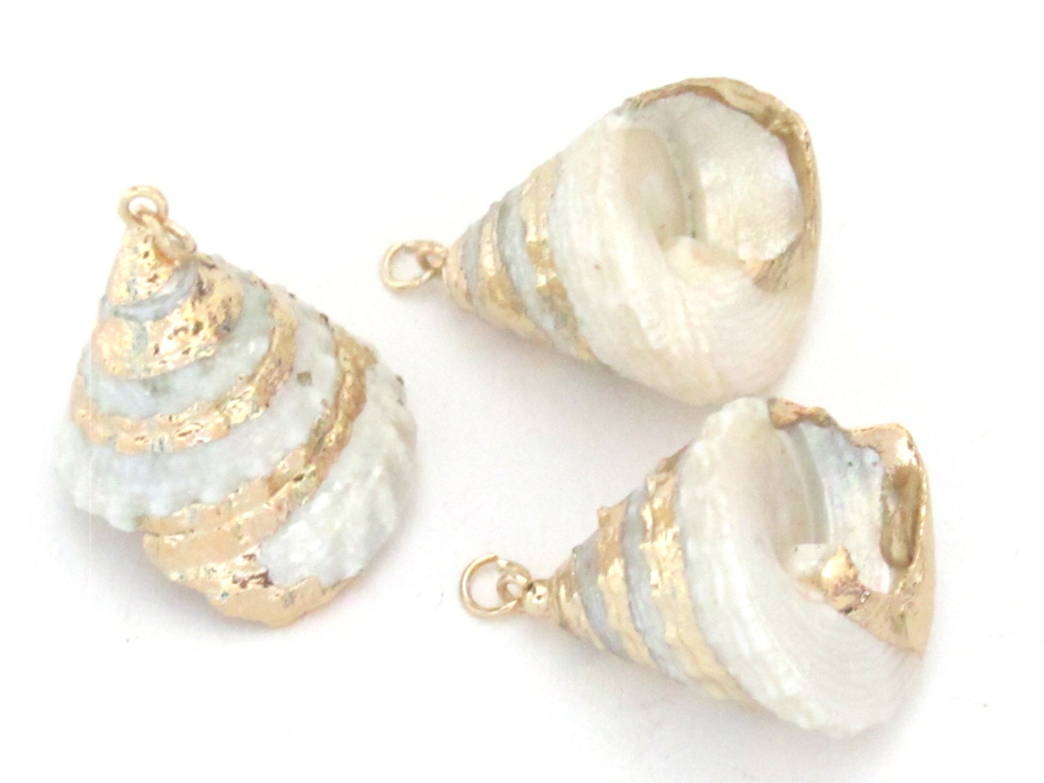 Small size conical pearl Troca shell gold edged pendant - 1 piece - SP031B