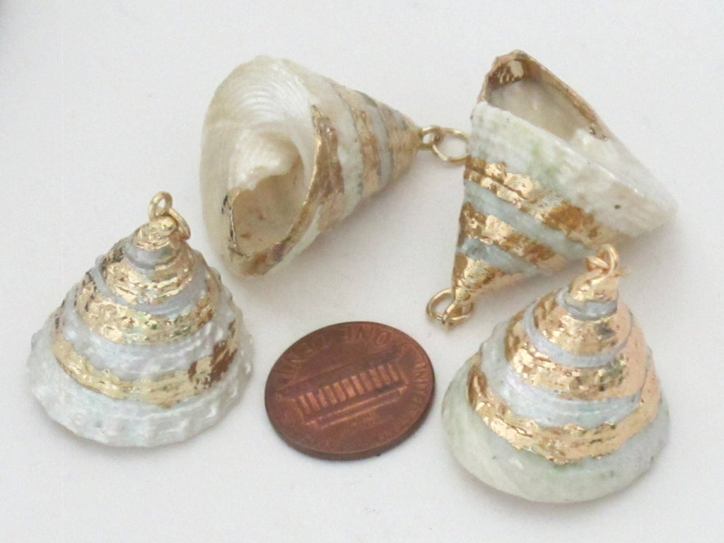 Gorgeous conical pearl Troca shell gold edged pendant - 1 piece - SP031A