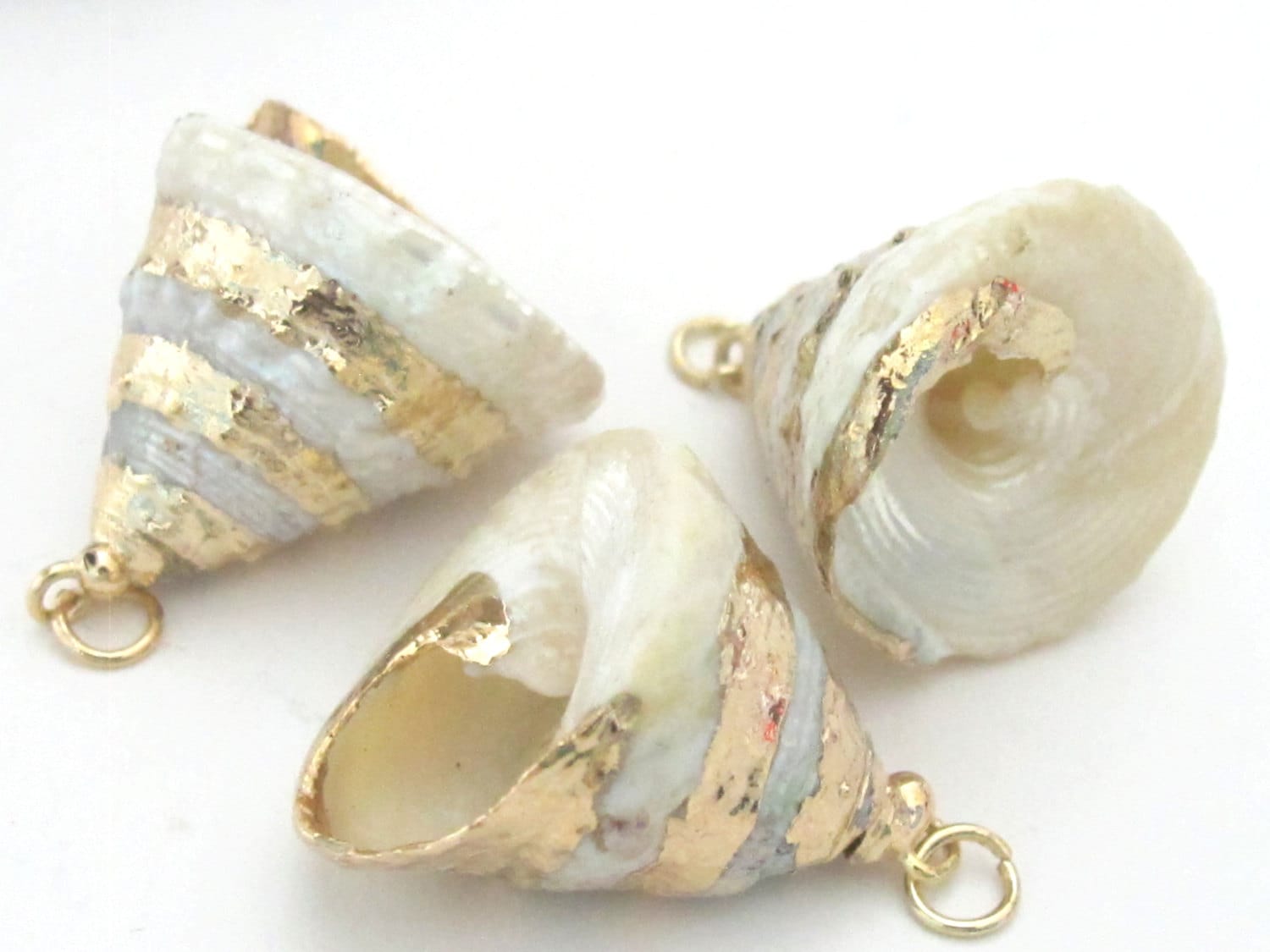 Small size conical pearl Troca shell gold edged pendant - 1 piece - SP031B
