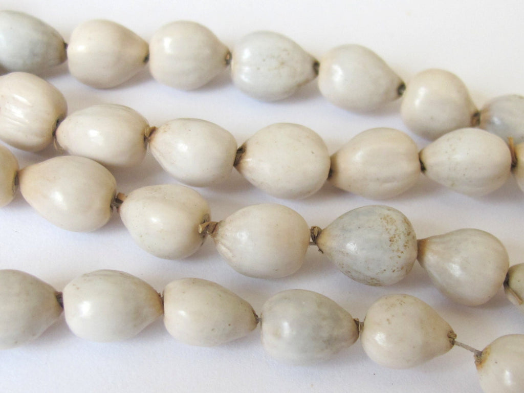 10 BEADS - Natural Panyas whole nut teardrop shape seed beads - NB112