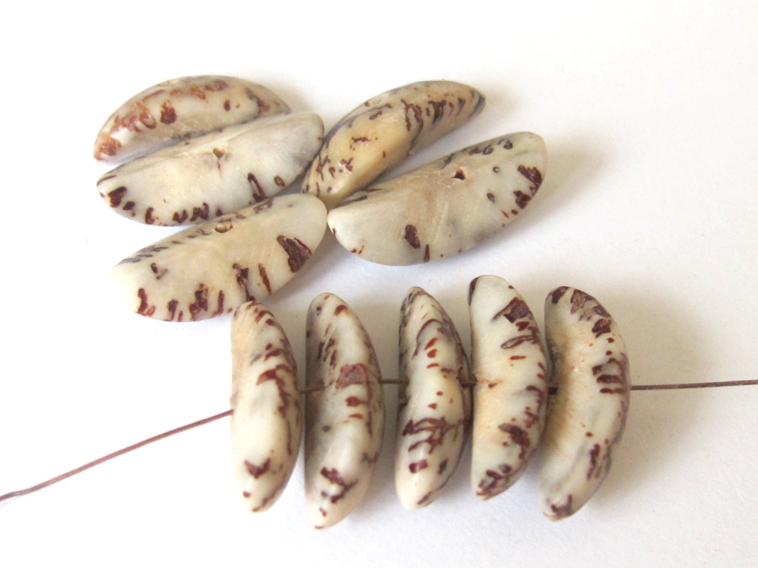 20 BEADS - Natural salwag palmwood seed beads banana shape - BD123