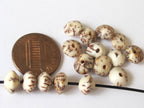 10 BEADS - Natural salwag palmwood seed beads rondelle saucer shape - NB114
