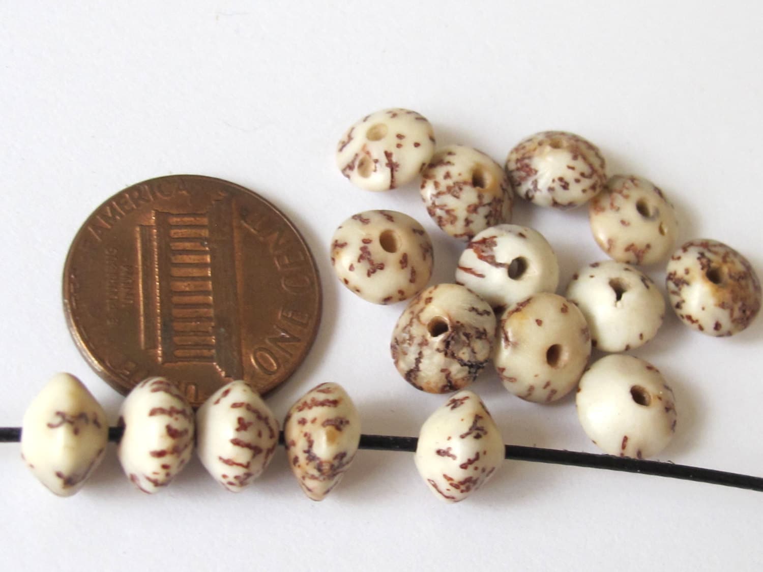 10 BEADS - Natural salwag palmwood seed beads rondelle saucer shape - NB114