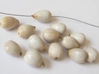 10 BEADS - Natural Panyas whole nut teardrop shape seed beads - NB112