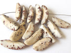 20 BEADS - Natural salwag palmwood seed beads banana shape - BD123