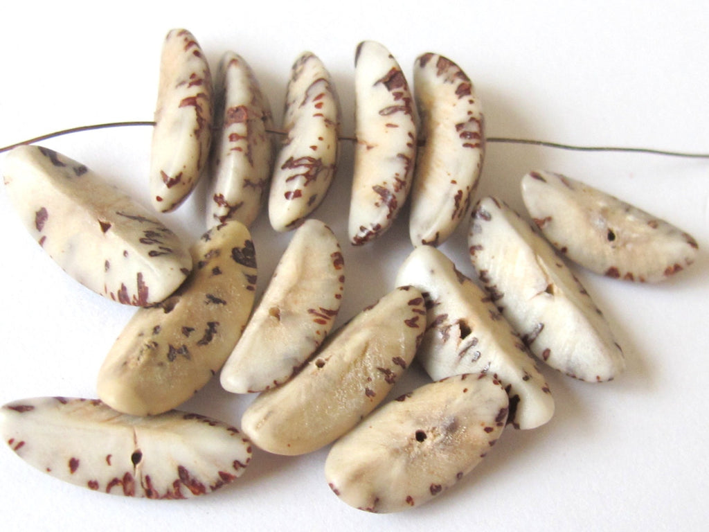 20 BEADS - Natural salwag palmwood seed beads banana shape - BD123