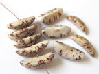 20 BEADS - Natural salwag palmwood seed beads banana shape - BD123