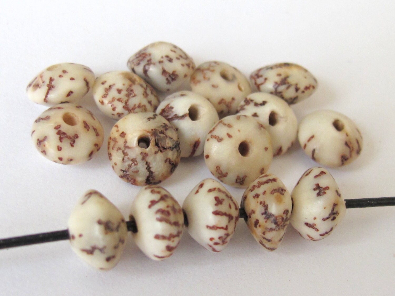 10 BEADS - Natural salwag palmwood seed beads rondelle saucer shape - NB114