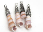 Ethnic capped bail turitella shell pendant - 1 piece - SP033D