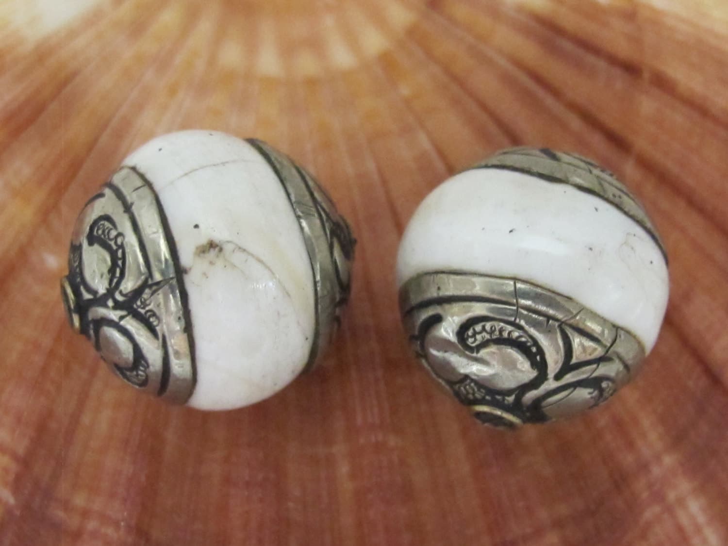 1 BEAD - Thick oval shape ethnic Tribal naga conch shell capped beads from Nepal - CH044