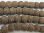 10 Beads - Tibetan natural old Bodhi seed beads 13 - 14 mm wide - NB015T