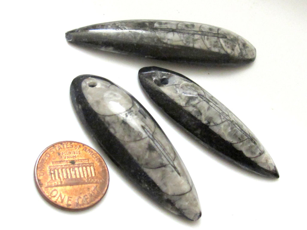 Reserved - 2 pieces - B and D - Small Medium size Drilled orthoceras fossil pendant - PB081A