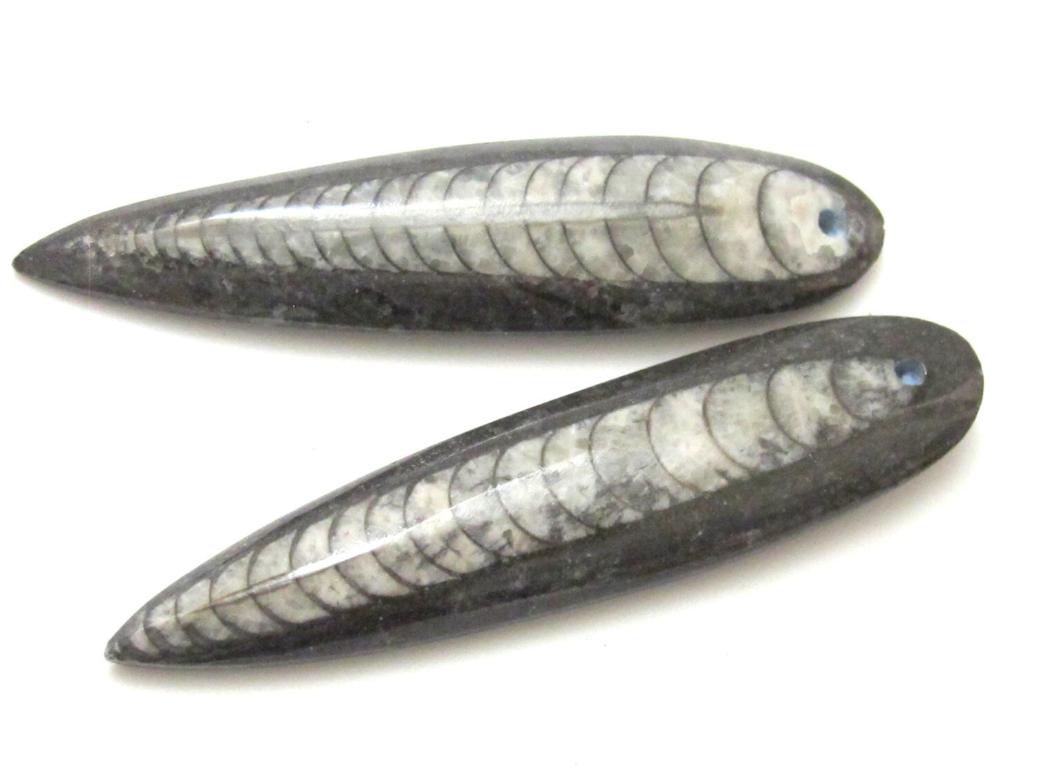 1 piece - Long Drilled orthoceras fossil pendant - PB081B