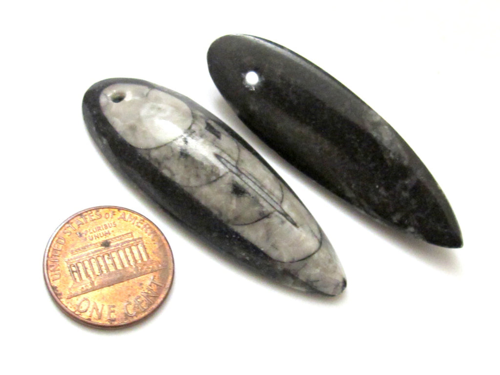 Reserved - 2 pieces - B and D - Small Medium size Drilled orthoceras fossil pendant - PB081A