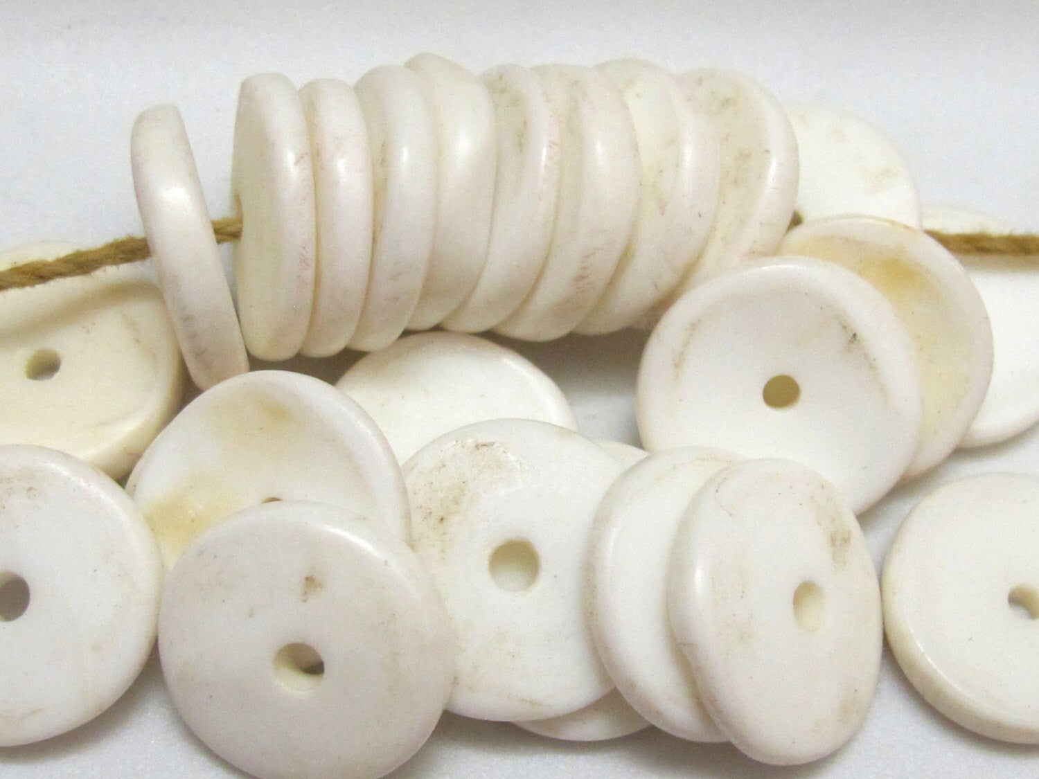 10 Beads-Ethnic Naga natural conch shell flat disc beads 15 - 16 mm size - CH052
