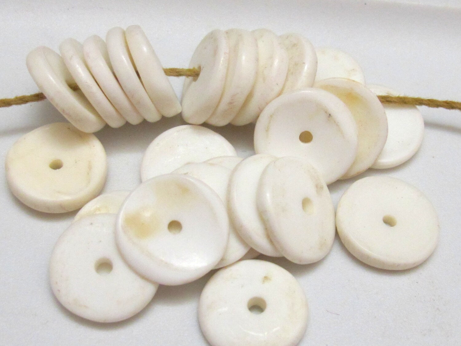 10 Beads-Ethnic Naga natural conch shell flat disc beads 15 - 16 mm size - CH052