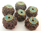 4 BEADS - Nepal Rudraksha beads with Turquoise brass capped - NB119