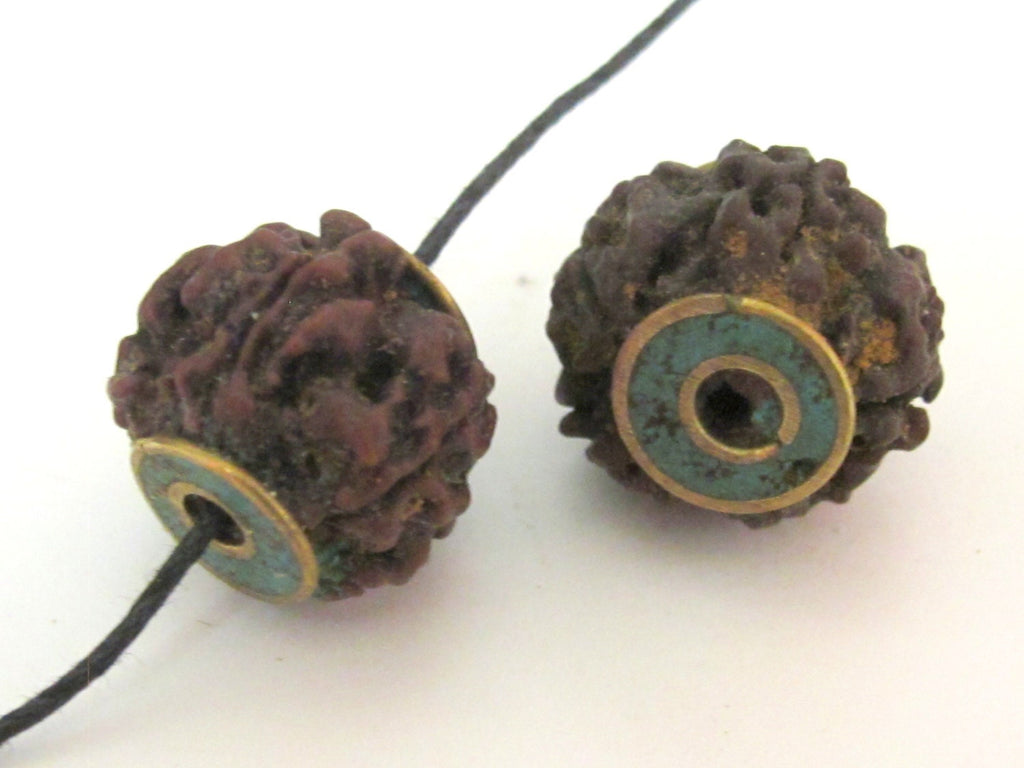 2 BEADS - Nepal Rudraksha beads with Turquoise brass capped - NB119