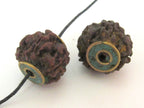 2 BEADS - Nepal Rudraksha beads with Turquoise brass capped - NB119