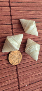 4 Bicone Troca mother of pearl MOP Shell Beads | 30–36mm x 19 -23 mm Lustrous Natural Shell Beads Drilled in Center |Craft Supplies BD221H