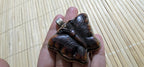 Butterfly Pendant carved recycled cattle Bone | Lotus Filigree Back | Tribal Jewelry Nepal | Spiritual Nature Symbol PM004H