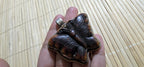 Butterfly Pendant carved recycled cattle Bone | Lotus Filigree Back | Tribal Jewelry Nepal | Spiritual Nature Symbol PM004H