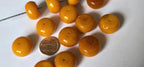10 beads - Tibetan Nepal beads 19-20 mm wide disc shape light weight Tibetan resin beads - BD536G