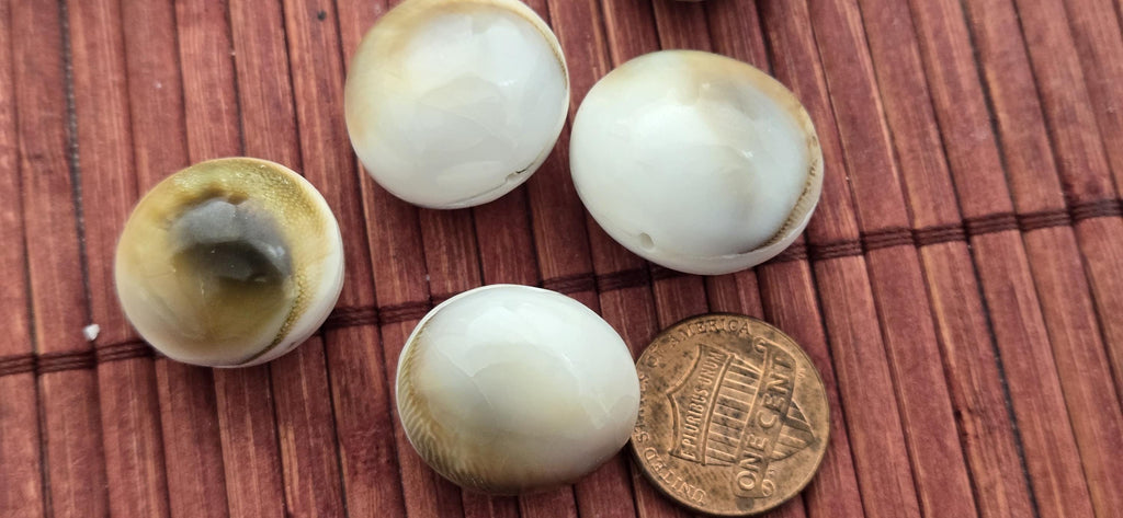 4 natural Oval Shell Beads – Unique Black White Brown Pattern | 19 - 23mm Organic Beads for Coastal Boho Jewelry – BD221K