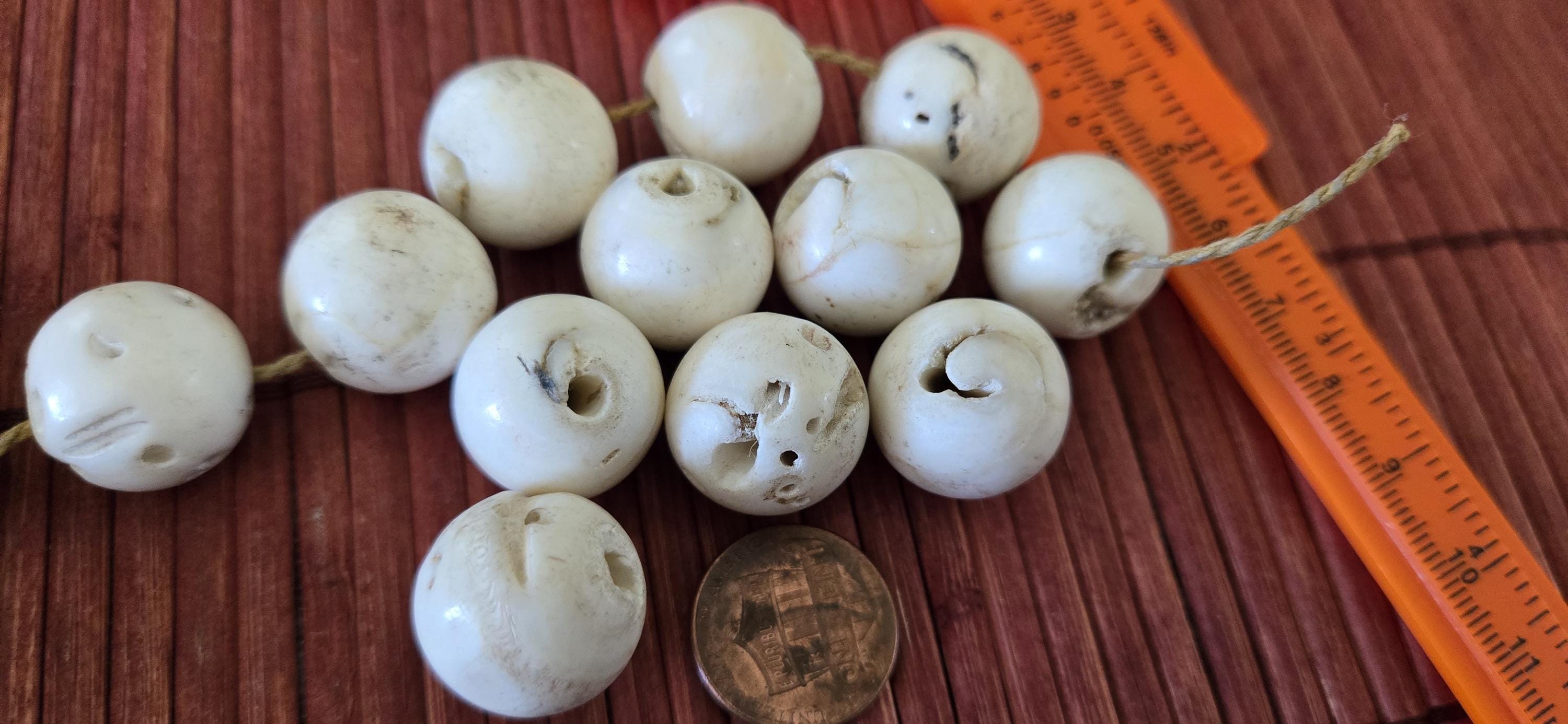 1 Bead - Ethnic tibetan Nepal natural naga conch shell chank beads 16 mm to 18 mm large focal beads - CH047G