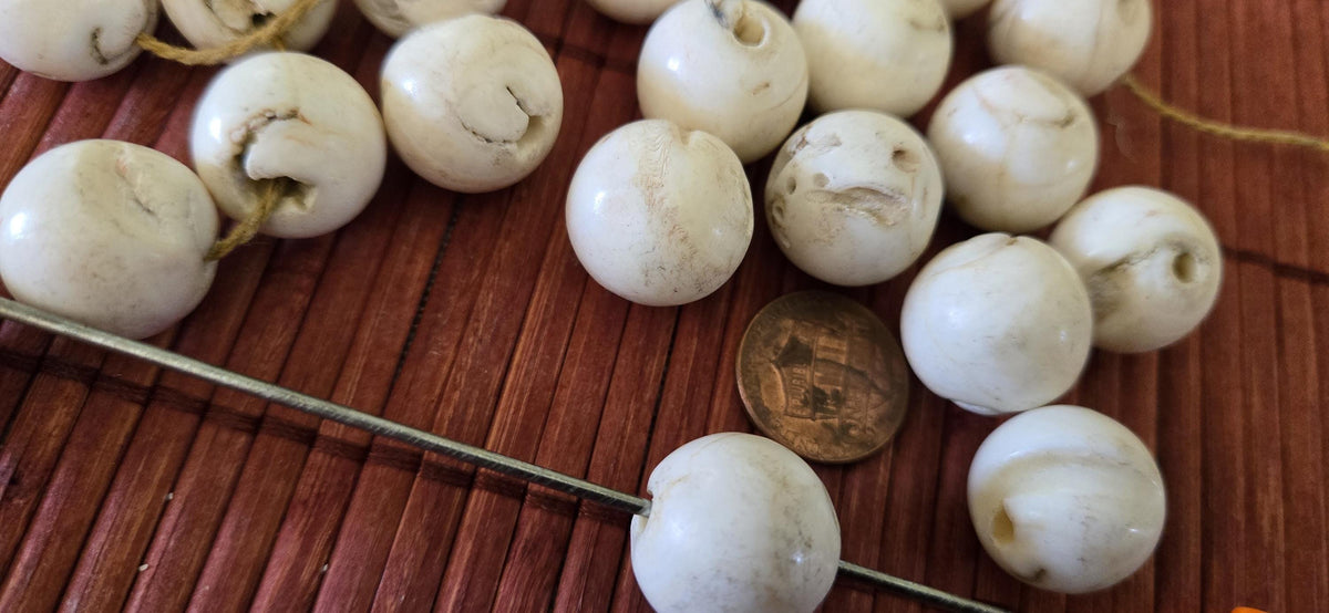 1 Bead - Ethnic tibetan Nepal natural naga conch shell chank beads 16 mm to 18 mm large focal beads - CH047G