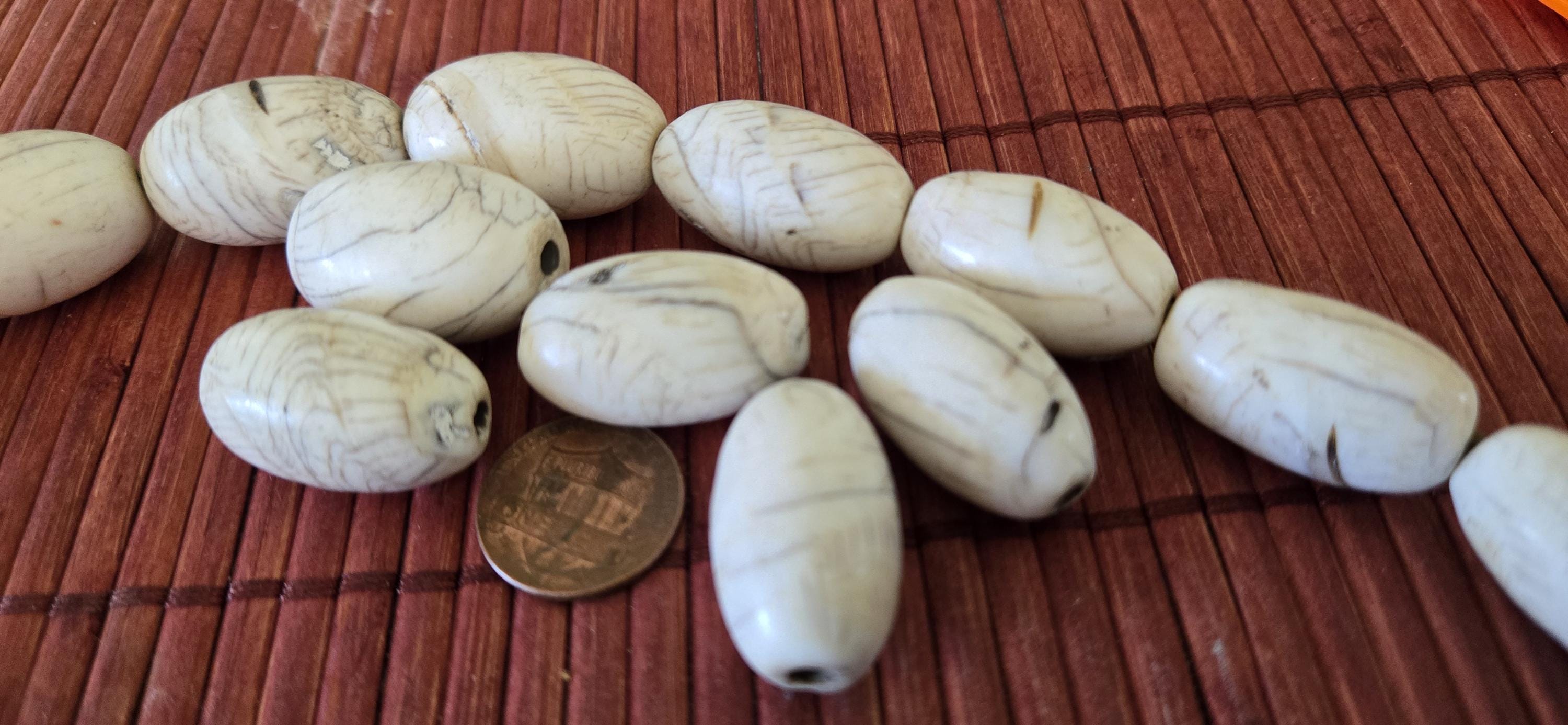 1 Bead - Thick Ethnic tibetan old vintage naga conch shell large focal bead from Nepal - CH046G