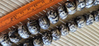 2 Beads-Large size 18 -20 mm Tibetan Om carved old vintage conch chank shell beads Nepal - CH045G