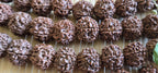 5 -XL Natural Rudraksha Beads from Nepal | 18-20mm Mala Making Supplies | Genuine Organic Prayer Beads | ML005T