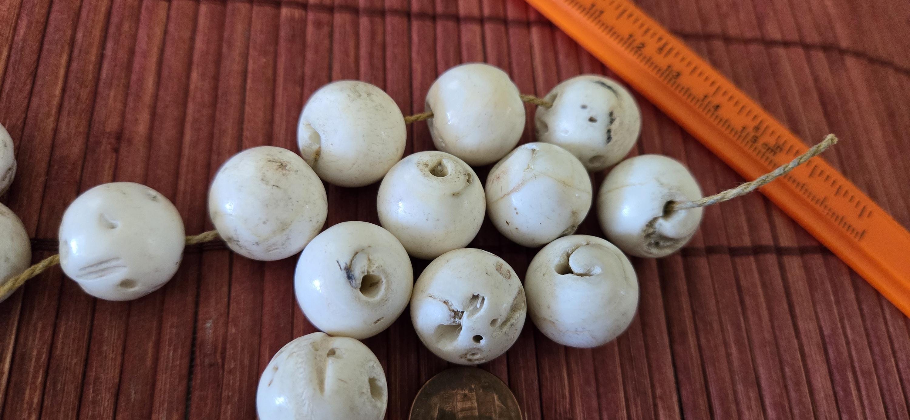 1 Bead - Ethnic tibetan Nepal natural naga conch shell chank beads 16 mm to 18 mm large focal beads - CH047G