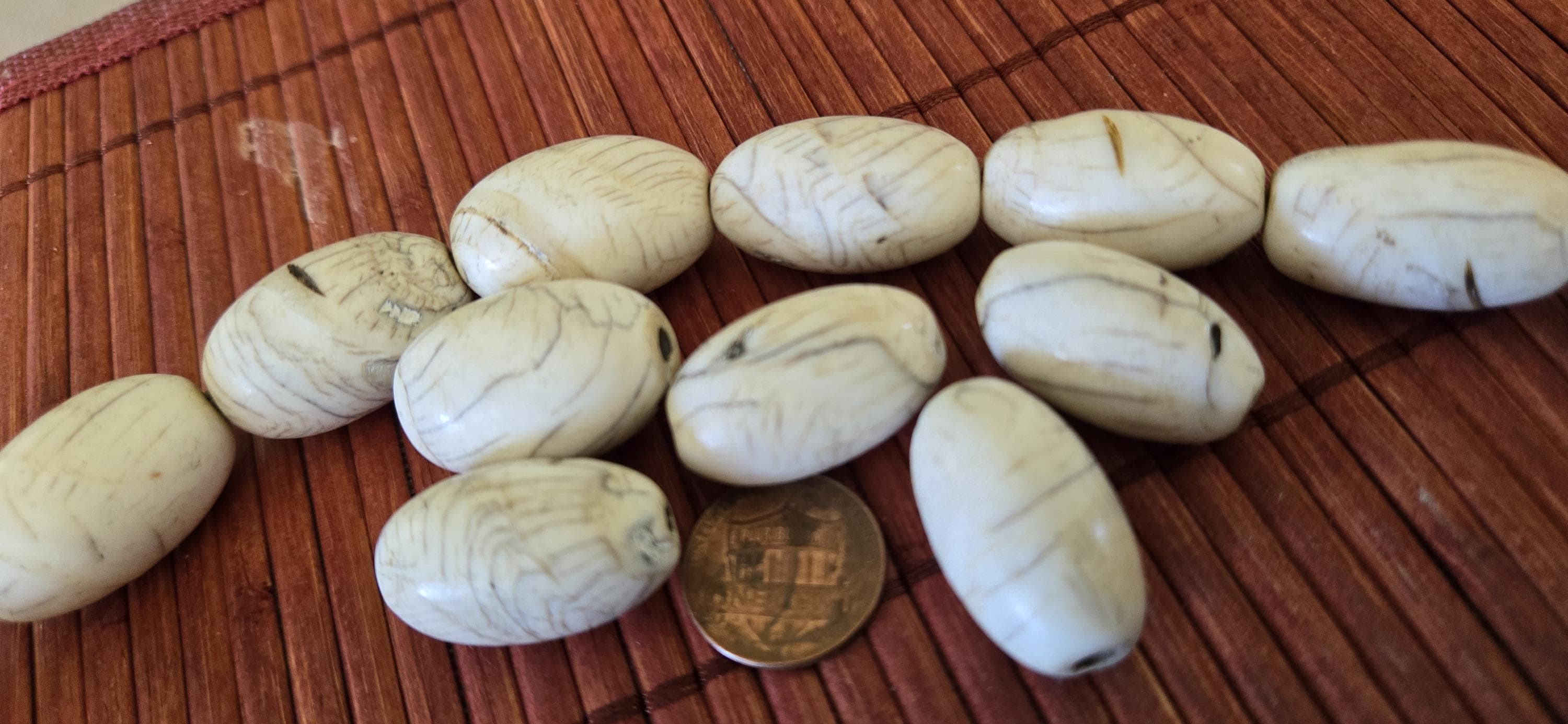 1 Bead - Thick Ethnic tibetan old vintage naga conch shell large focal bead from Nepal - CH046G