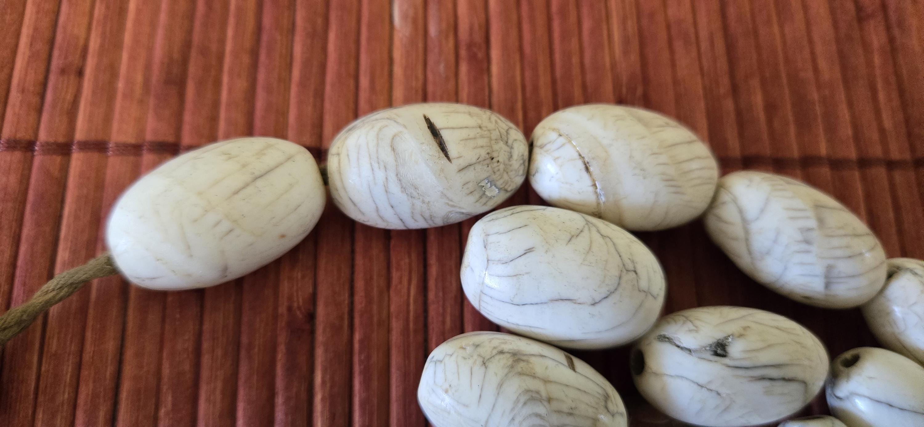 1 Bead - Thick Ethnic tibetan old vintage naga conch shell large focal bead from Nepal - CH046G