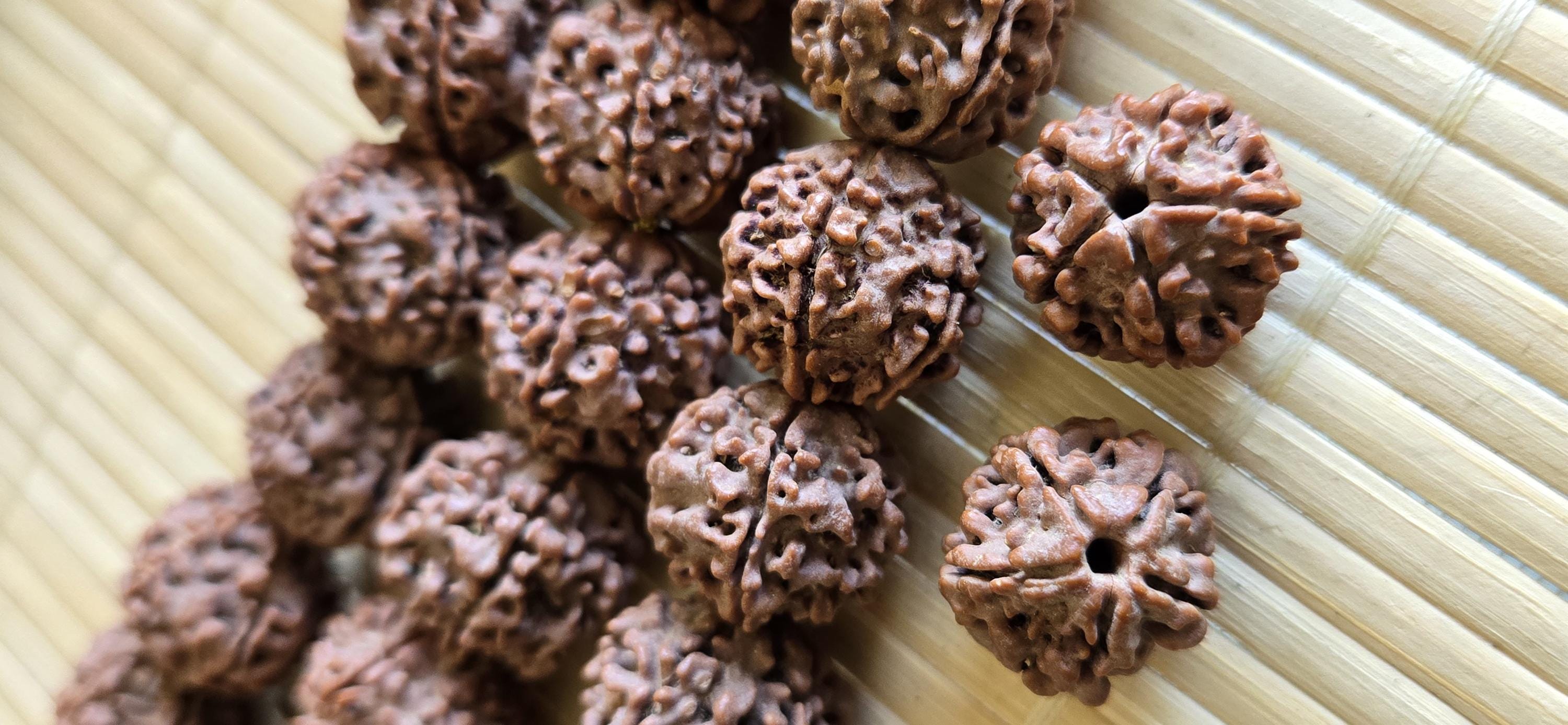 5 -XL Natural Rudraksha Beads from Nepal | 18-20mm Mala Making Supplies | Genuine Organic Prayer Beads | ML005T