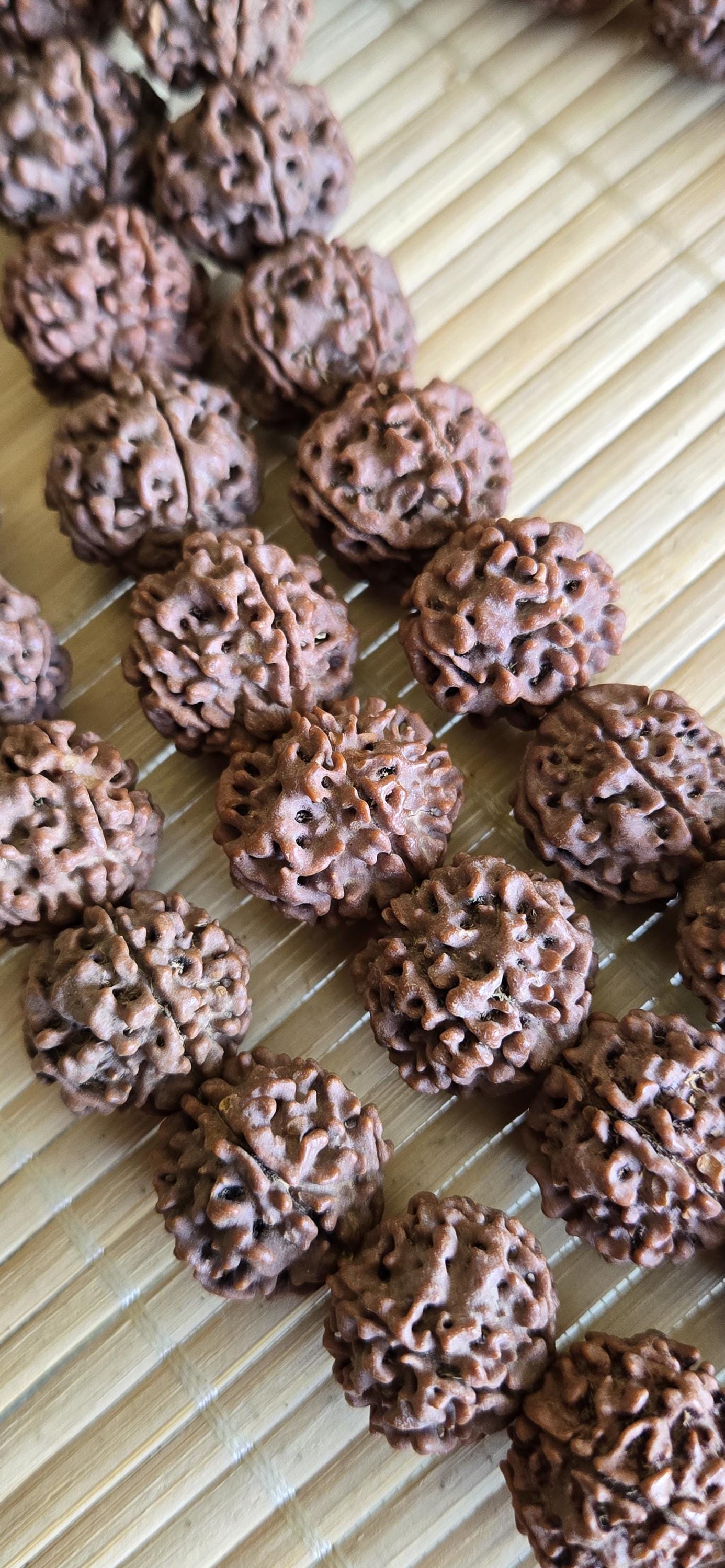 5 -XL Natural Rudraksha Beads from Nepal | 18-20mm Mala Making Supplies | Genuine Organic Prayer Beads | ML005T