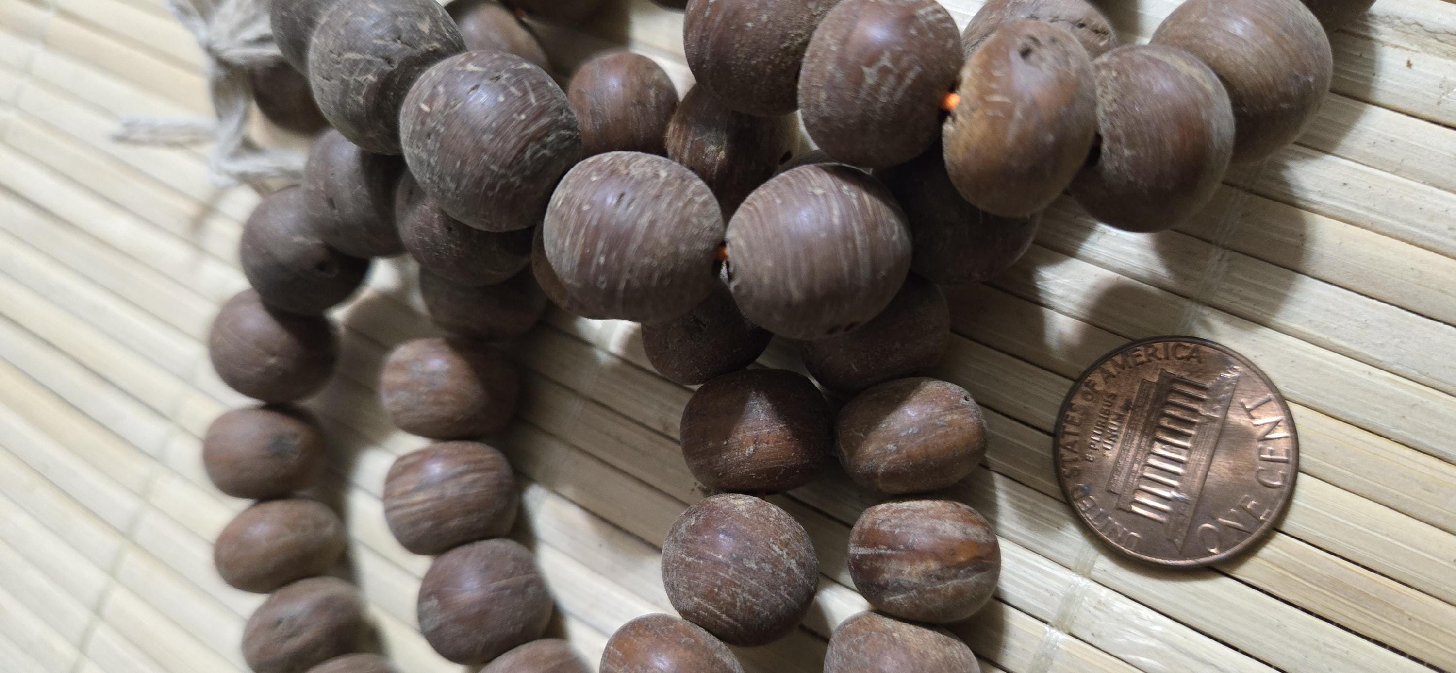 10 Beads - Tibetan old Bodhi seed beads mala making 12 - 14 mm wide -Earthy beads Nepal NB003A