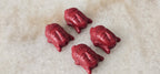 10 Beads - Red Resin Buddha Beads 14x20mm – Tibetan Nepal Prayer Beads for Jewelry Making BD797G