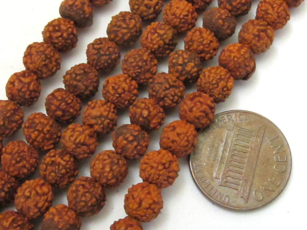 SALE - 10 Beads Natural Rudraksha seed beads from Nepal 6 mm spacer mala beads - NB127- CBA