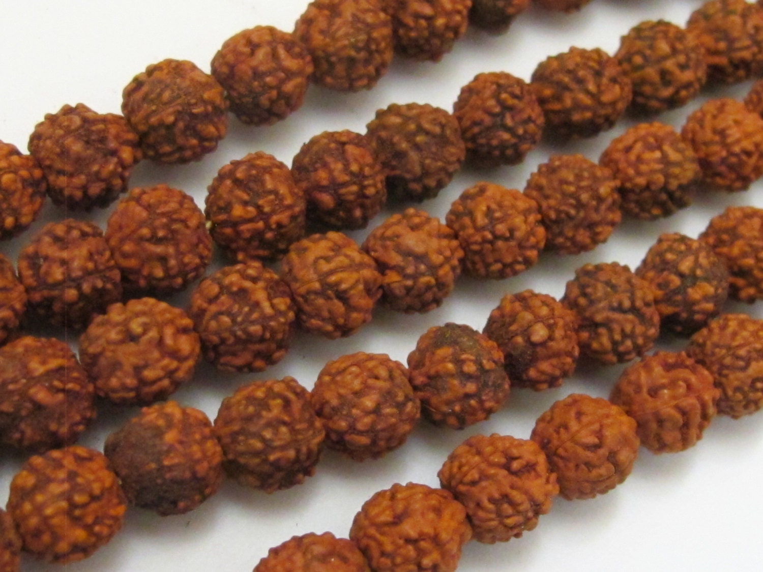 SALE - 10 Beads Natural Rudraksha seed beads from Nepal 6 mm spacer mala beads - NB127- CBA