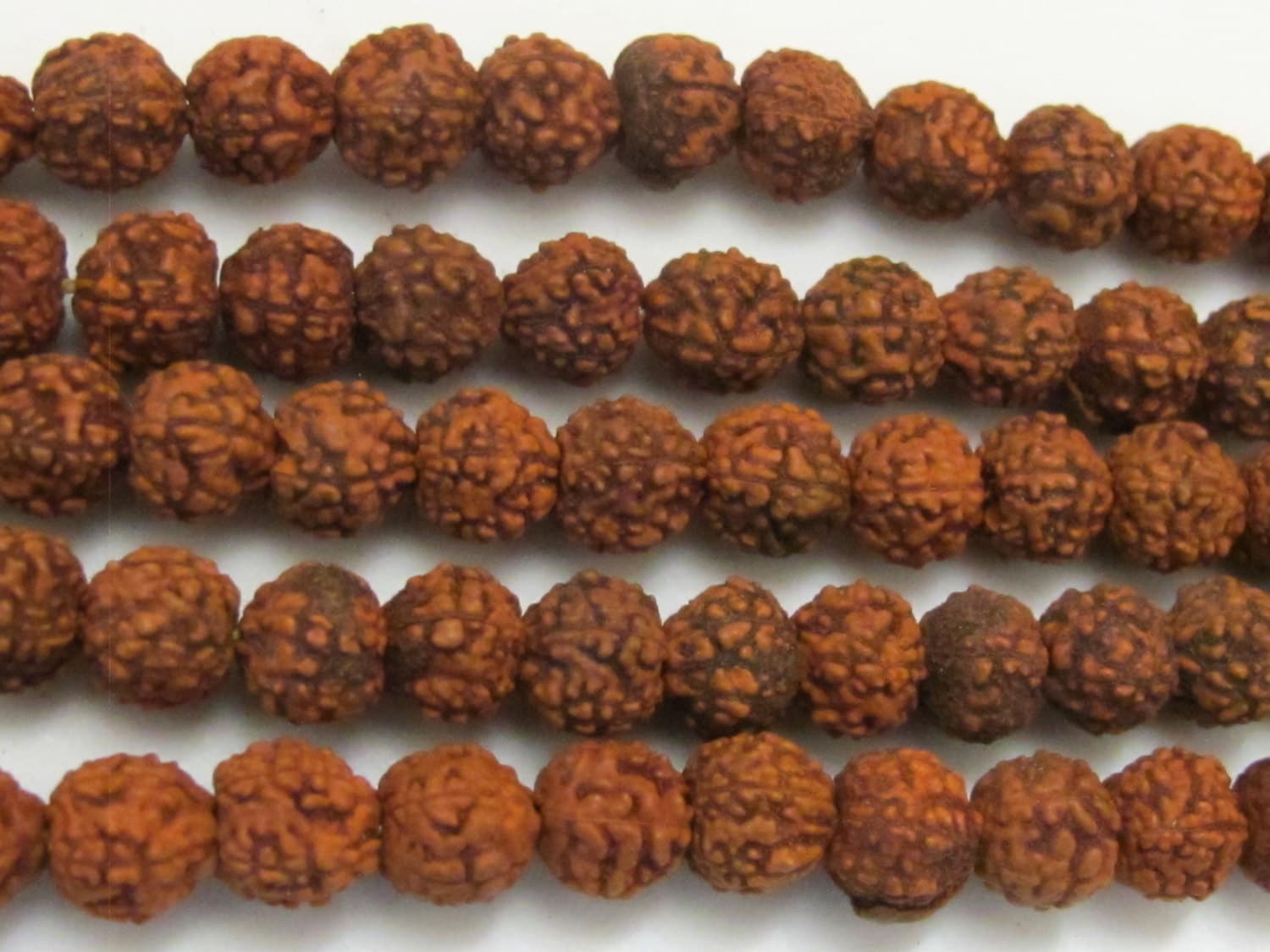 SALE - 10 Beads Natural Rudraksha seed beads from Nepal 6 mm spacer mala beads - NB127- CBA