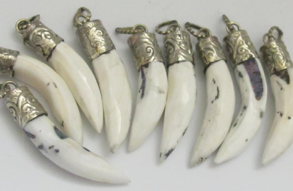 3 Pendants lot- Tibetan silver capped Naga Conch shell pendant - PM268