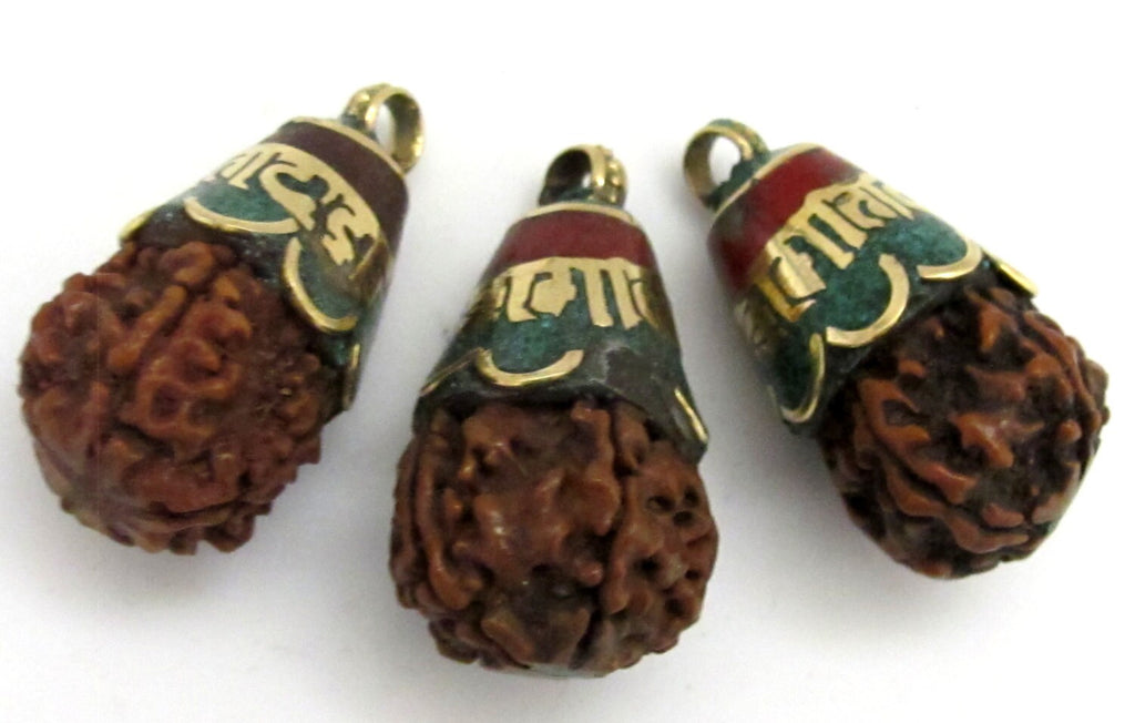 1 Pendant - Tibetan Om mantra Nepal natural Rudraksha seed capped drop pendant - PM269