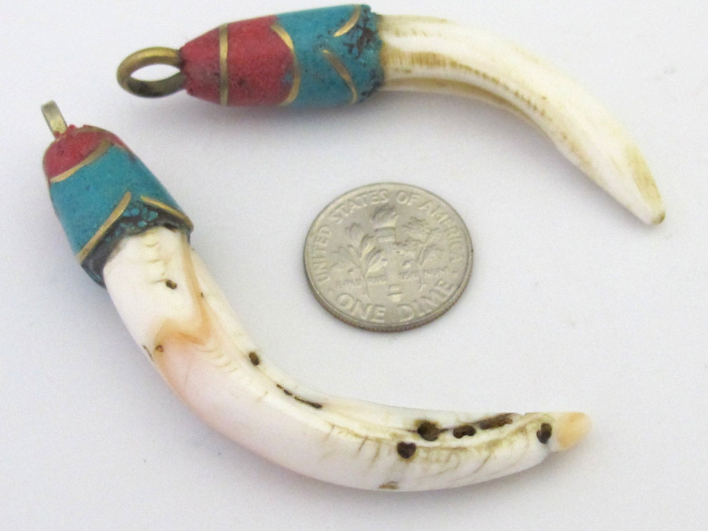 1 Pendant - Tibetan Naga conch shell pendant with turquoise lapis inlay shape - PM304